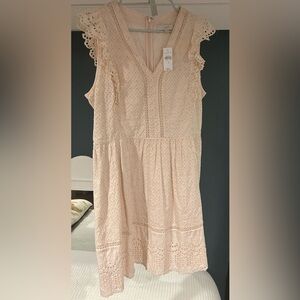 Loft NWT light pink eyelet dress
